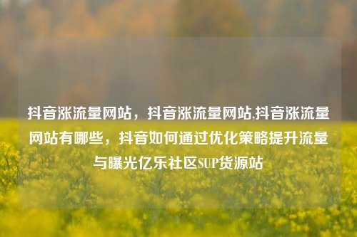 抖音涨流量网站，抖音涨流量网站,抖音涨流量网站有哪些，抖音如何通过优化策略提升流量与曝光亿乐社区SUP货源站  第1张